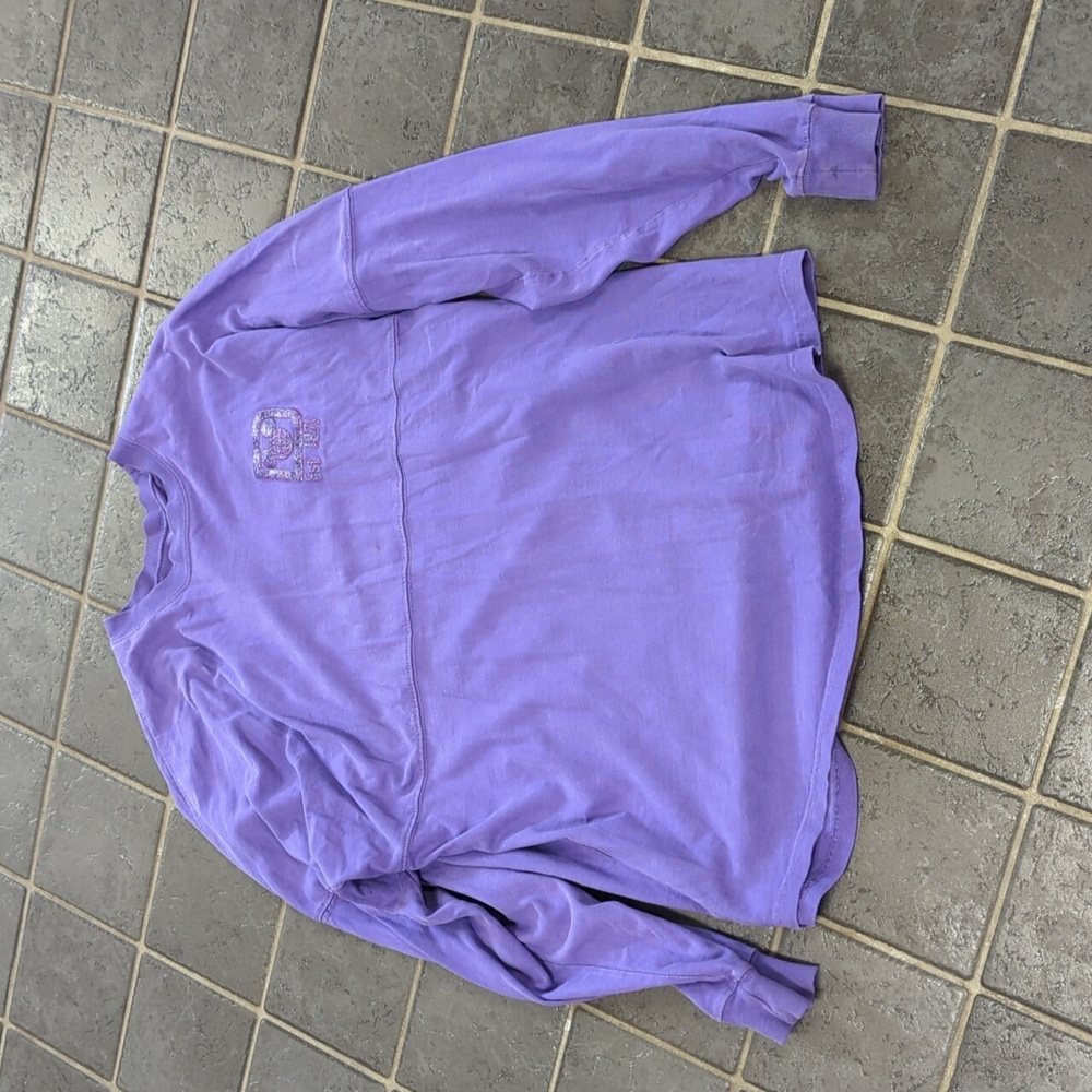Disney world potion purple spirit jersey